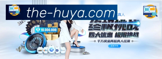 未来规划